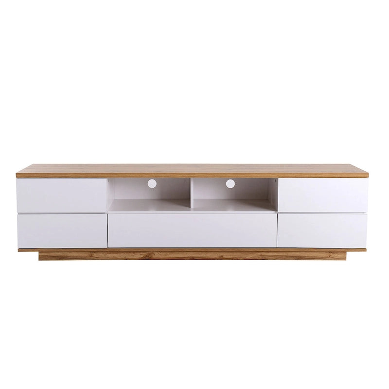 Adley 80-Inch Modern TV Stand with Concealed Storage by GDFStudio-20